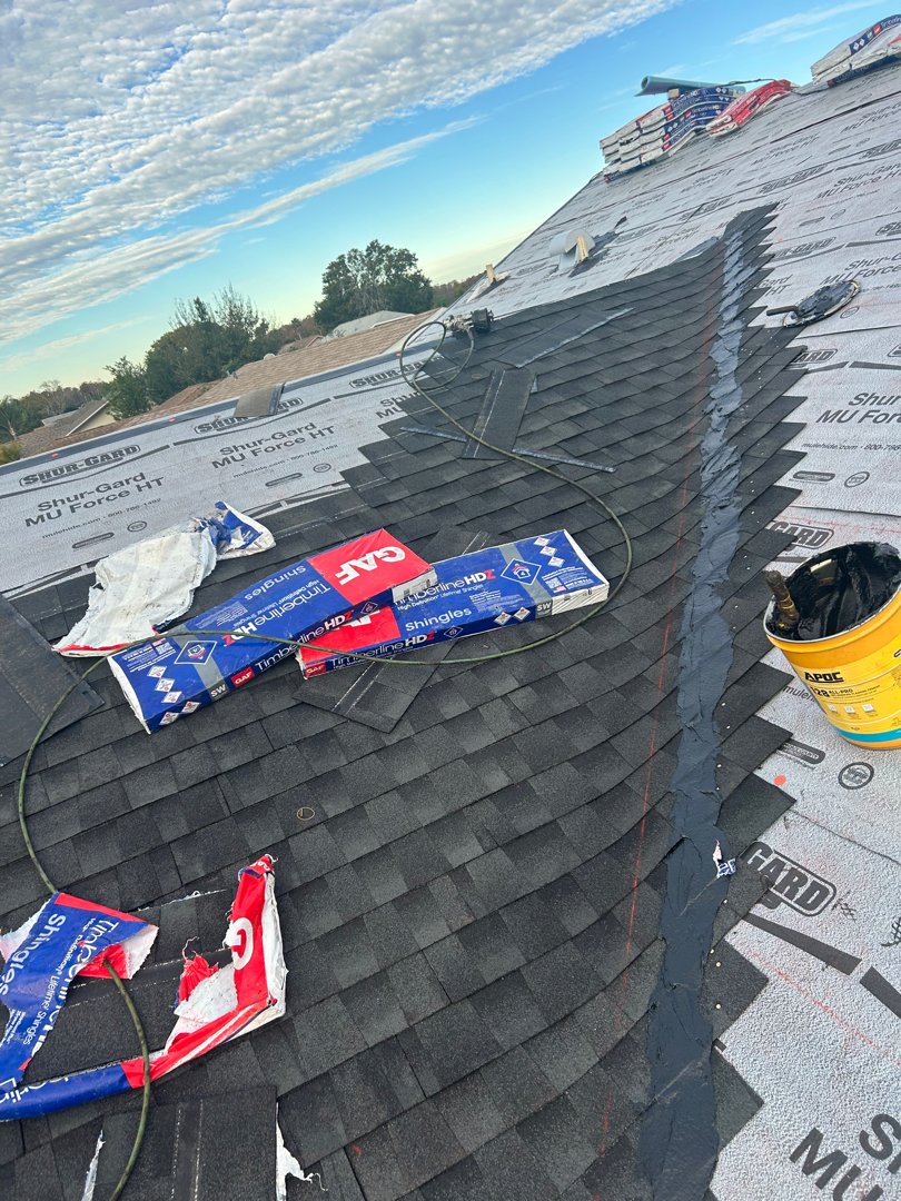 New shingle and flat roof photo 3