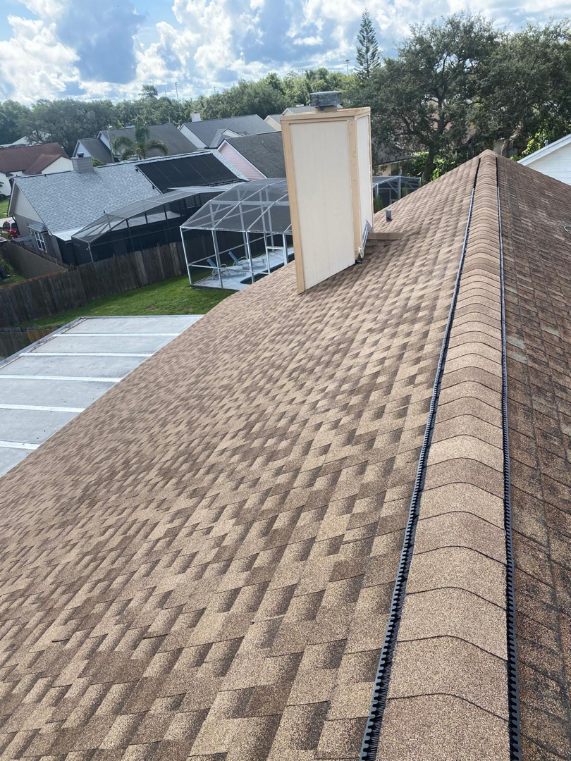 Replace back half of roof photo 2