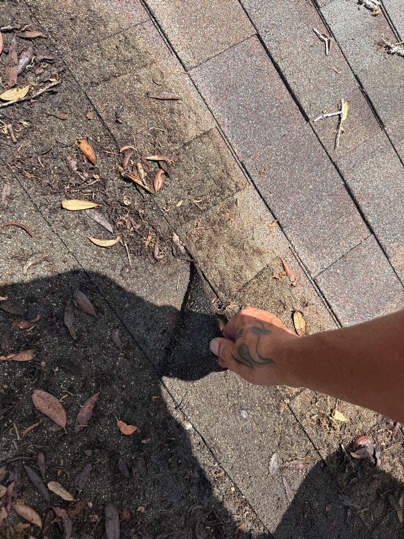 Roof inspection photo 2