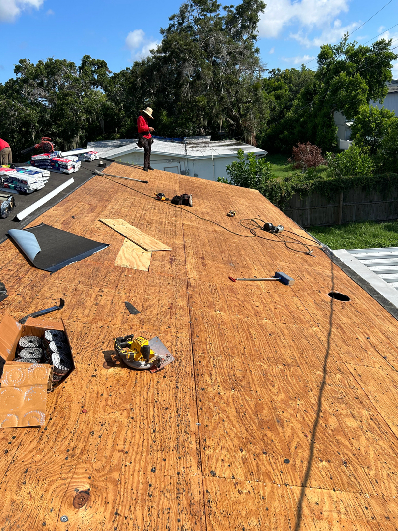 Shingle roof replacement photo 1