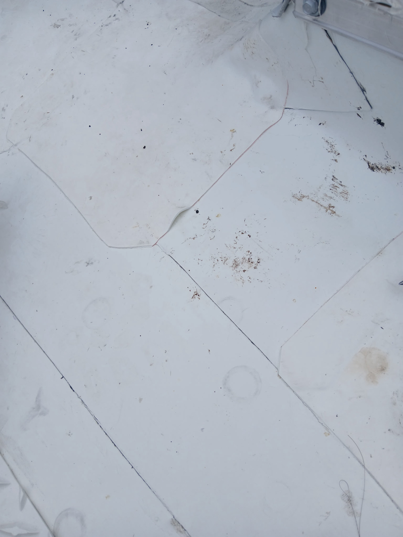 new TPO roof installation building 24 photo 2