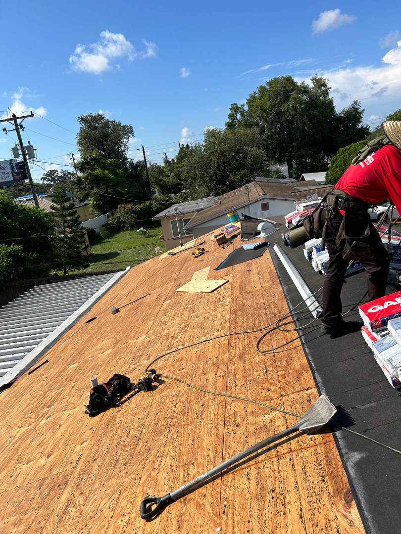 Shingle roof replacement photo 3