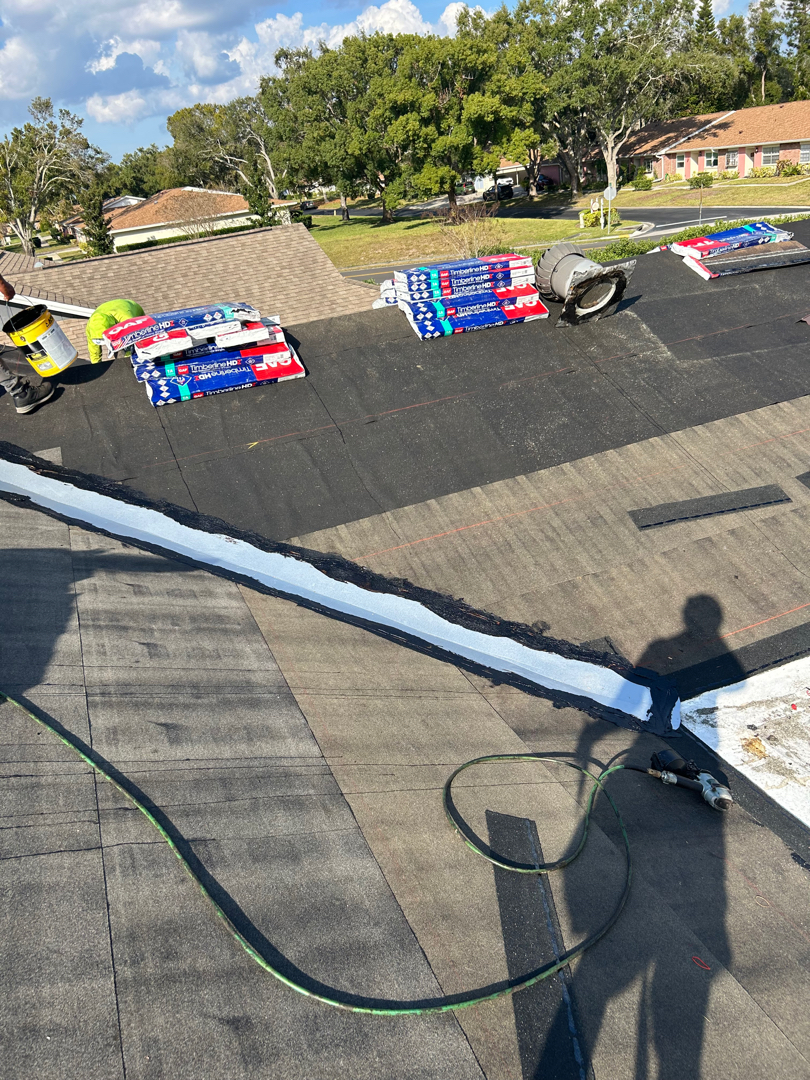 Shingle Roof Replacement photo 1