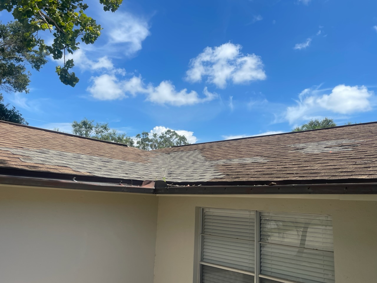 Roof repair tree damage photo 2