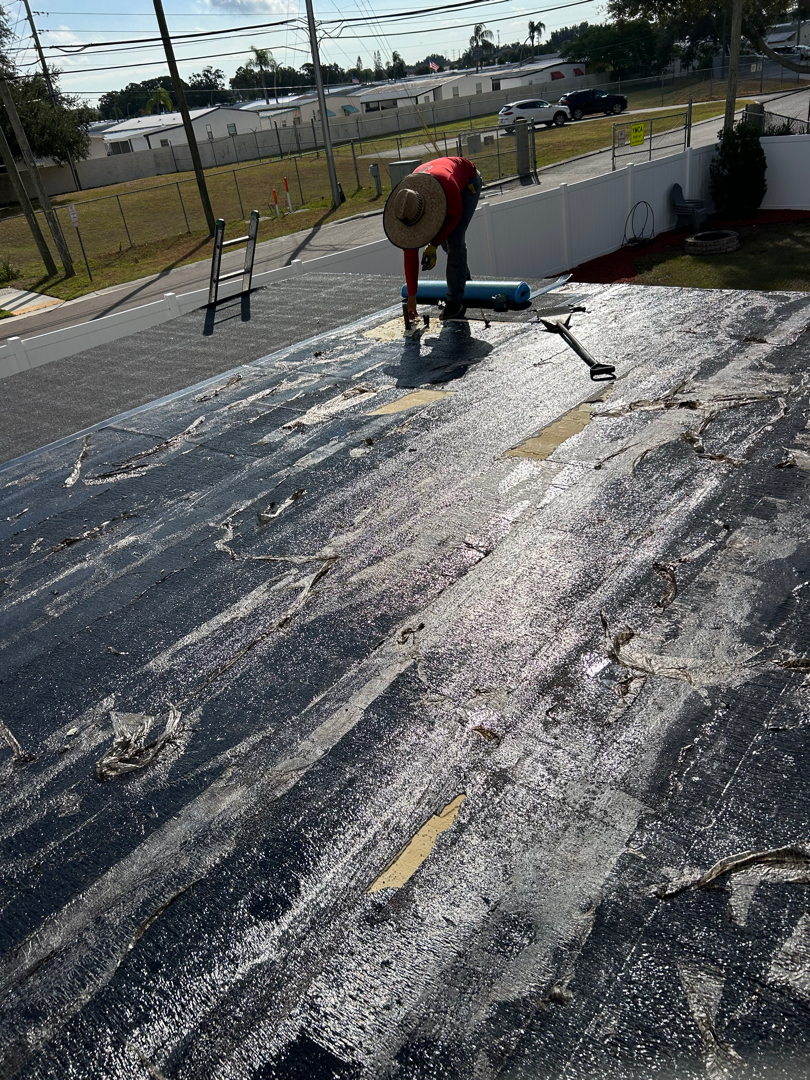Flat roof replacement photo 1