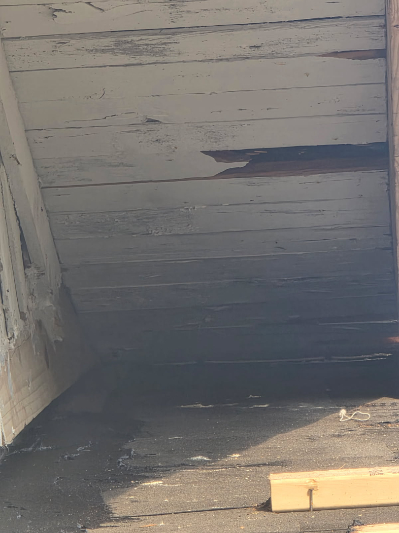 Shingle Roof Replacement photo 2