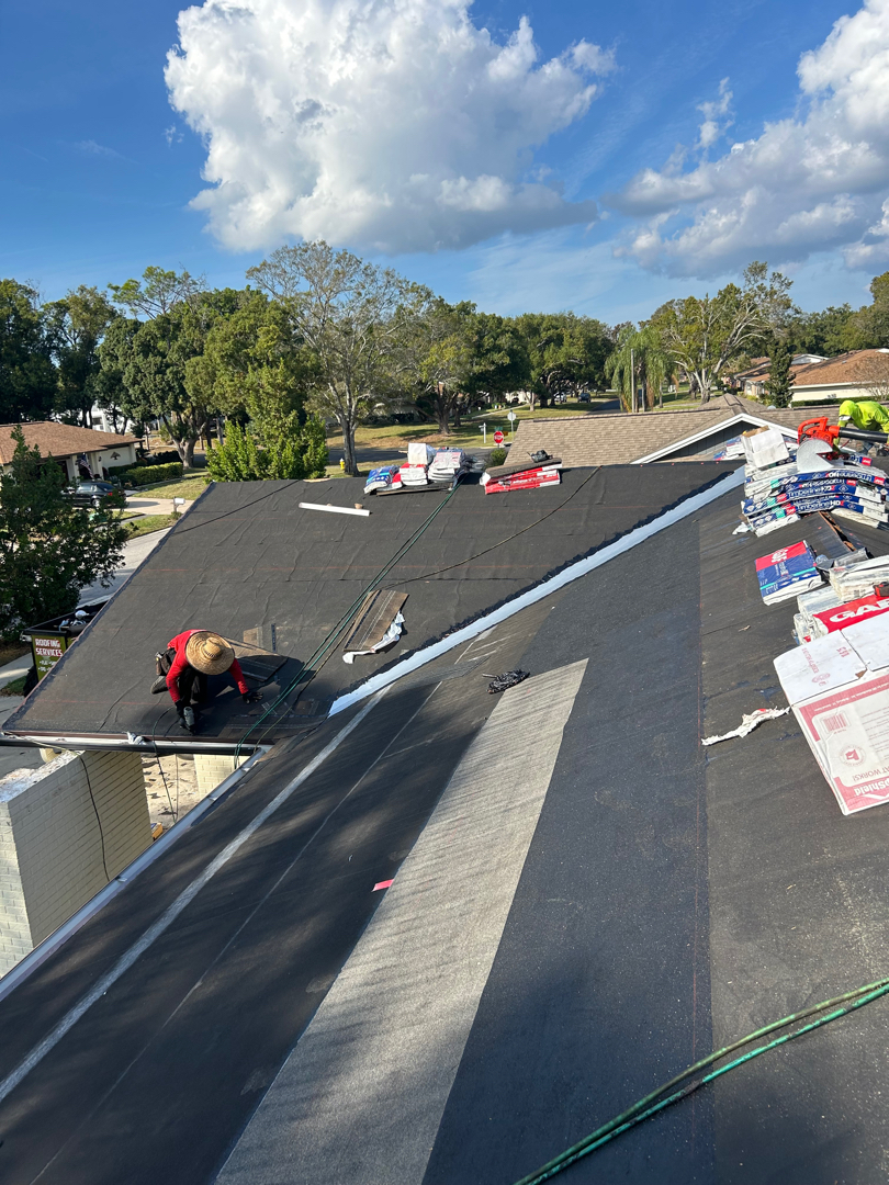 Shingle Roof Replacement photo 3