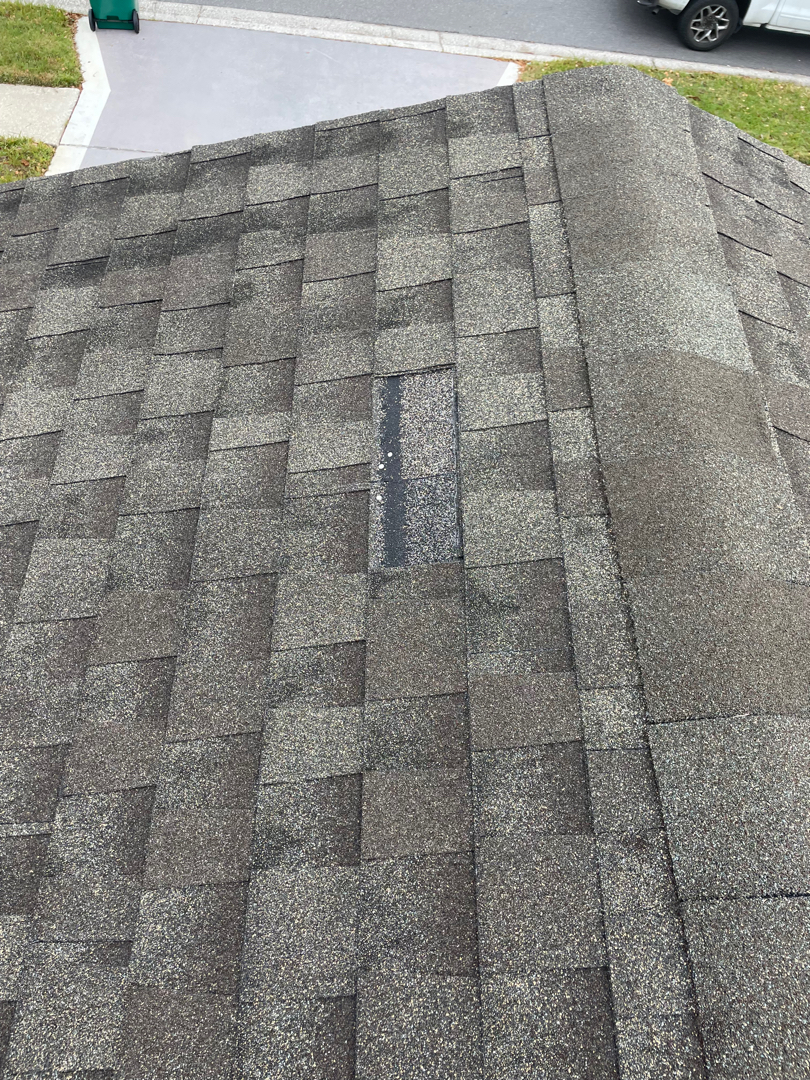 Replace Missing Shingle photo 2