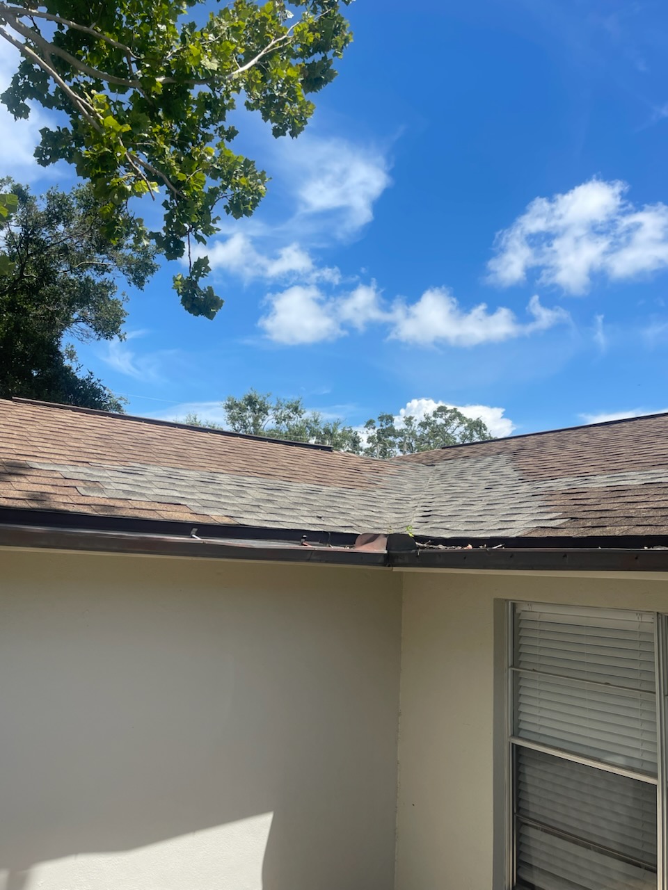 Roof repair tree damage photo 1