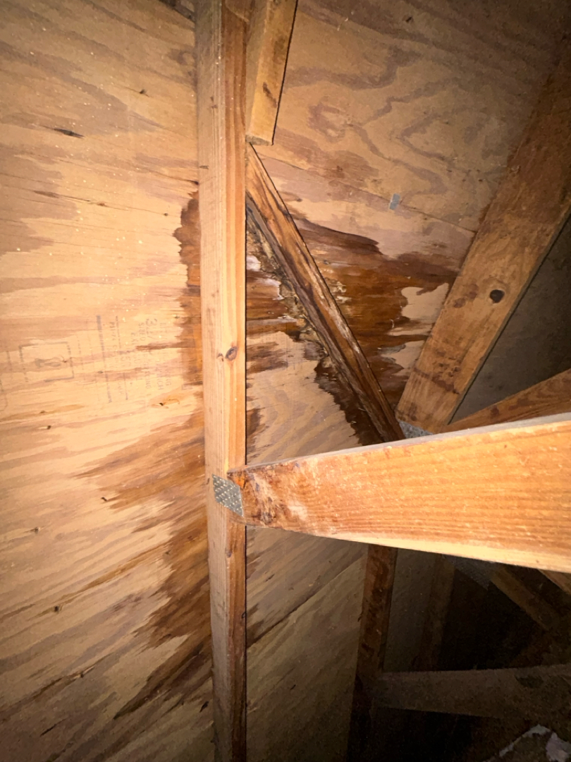 Flat Roof Replacement photo 2