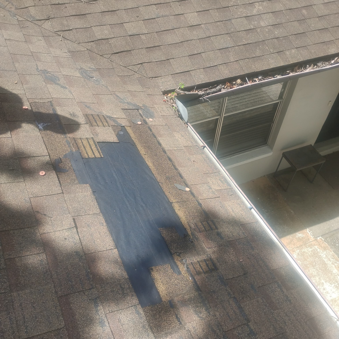 Roof repair tree damage photo 3