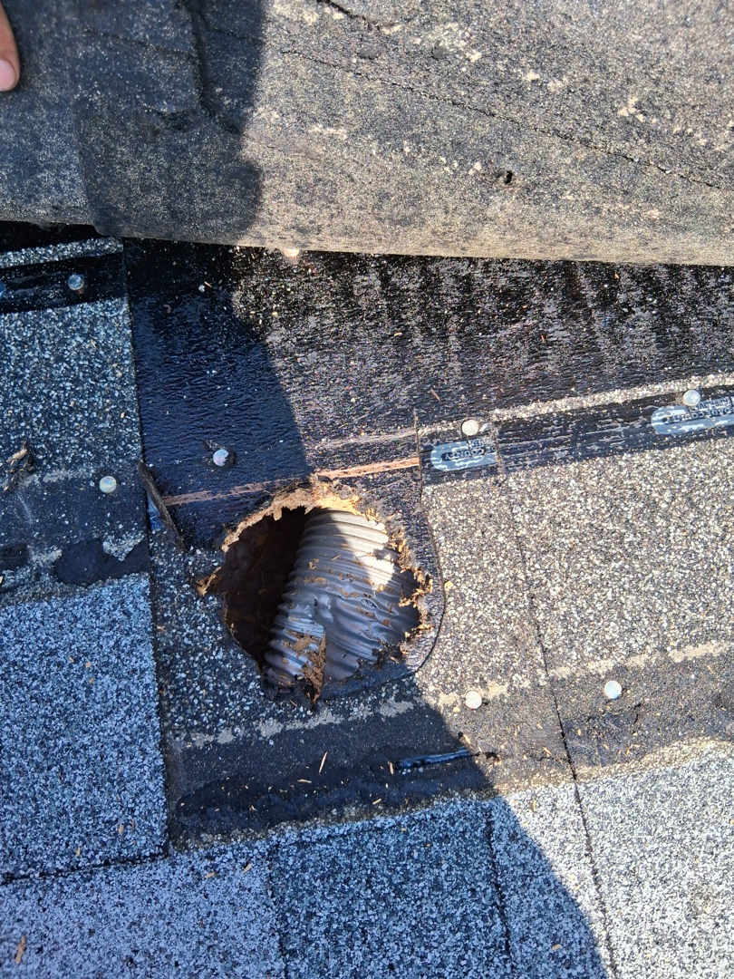 Install Dryer Vent & Hose photo 1