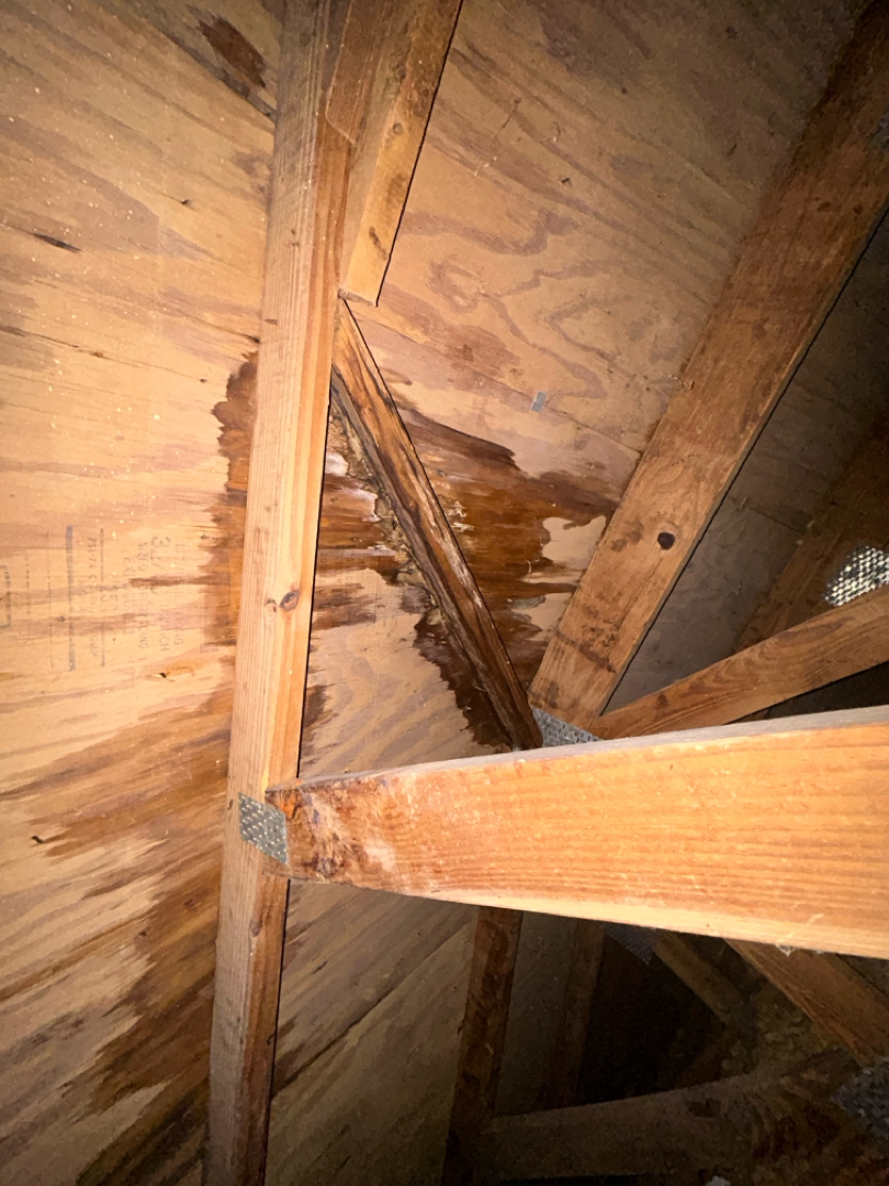 Flat Roof Replacement photo 1