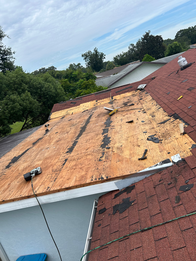 Replace flat roof photo 1