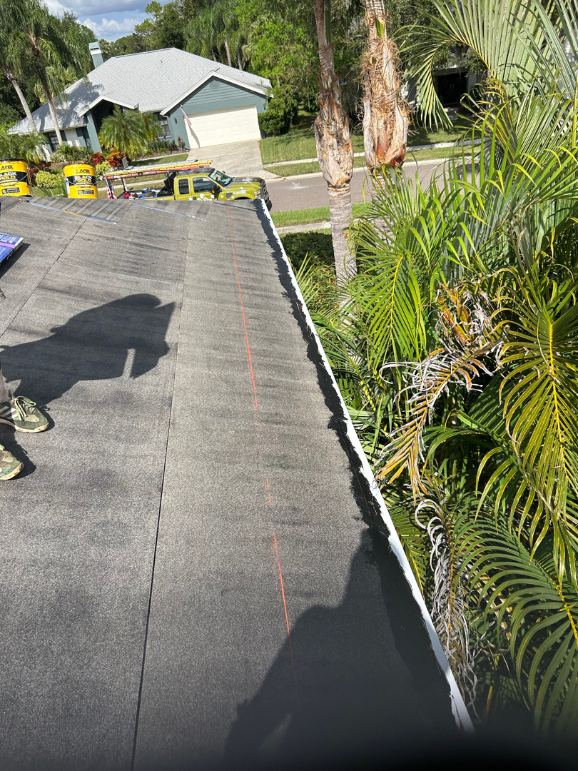 Shingle Roof Replacement photo 3