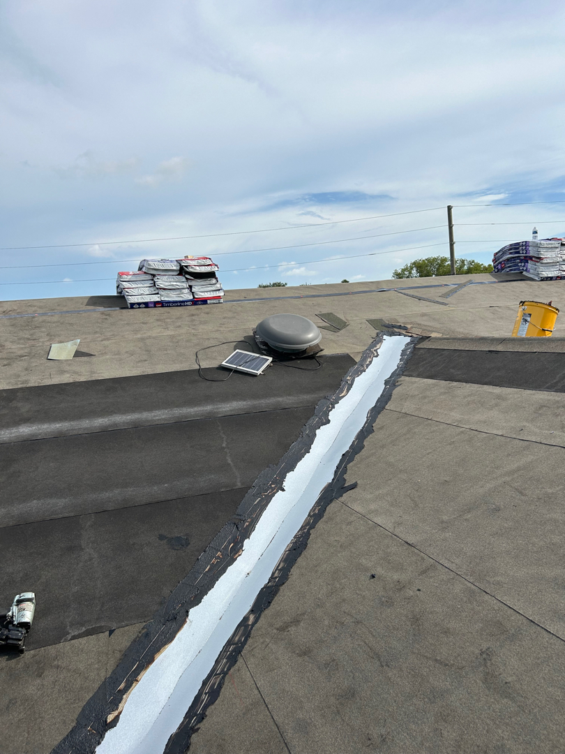 Shingle Roof Replacement photo 1