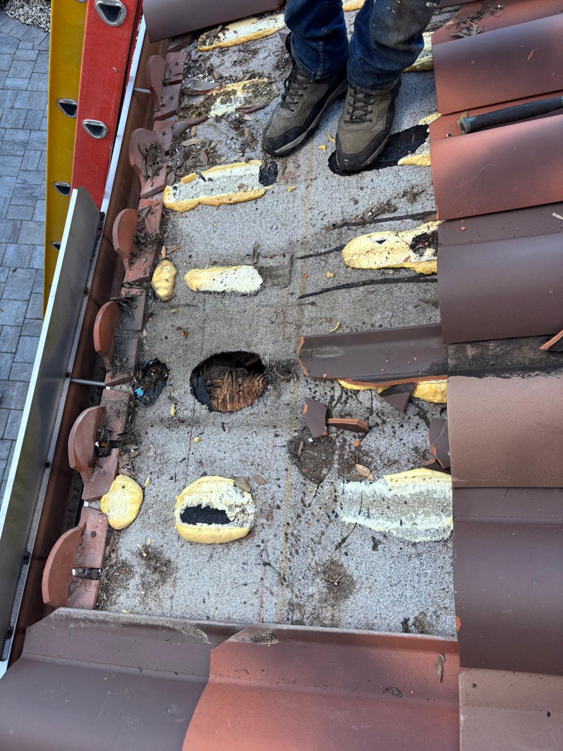 Tile Roof Repair photo 1