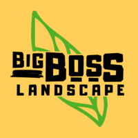 BIG BOSS Landscape's logo