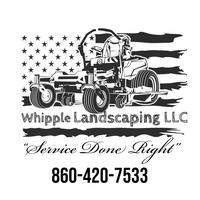 Whipple Landscaping LLC 's logo