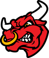 Bull God Lawn Care's logo