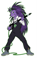 Purple Porcupine Pressure Washing, LLC's logo