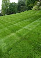 Brashear Lawn and Landscaping 's logo